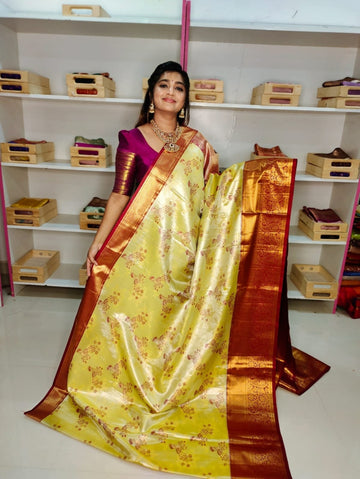 80% Kanchi Pattu collection