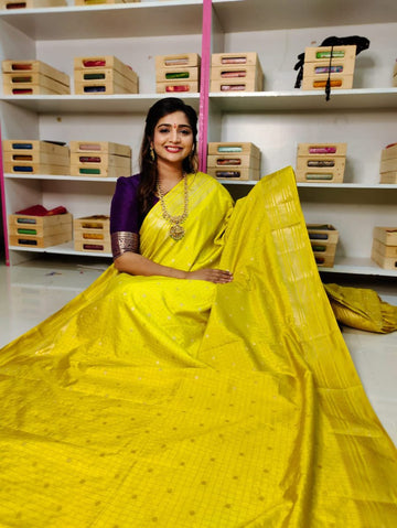 Banarasi Silk Saree