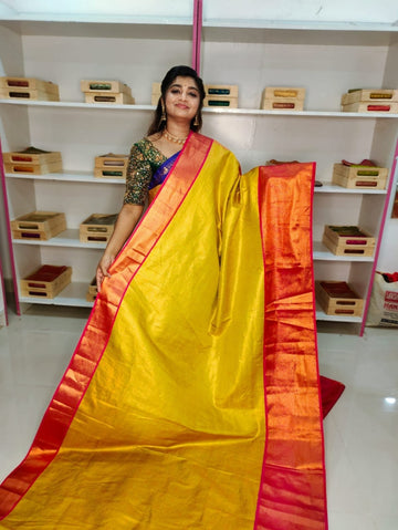80% Kanchi Pattu collection