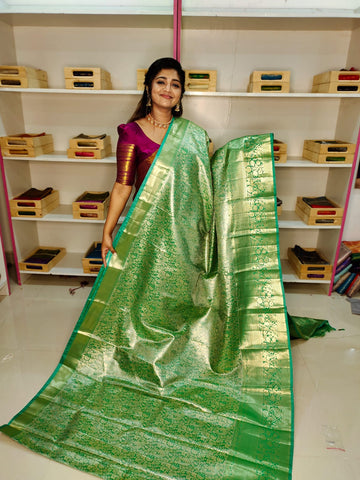 80% kanchi pattu collection