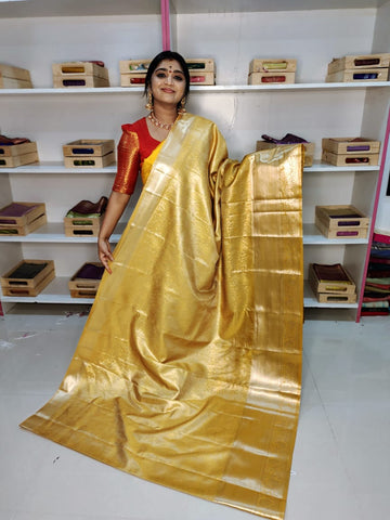 Kanchi pattu collection