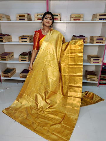 Kanchi pattu collection