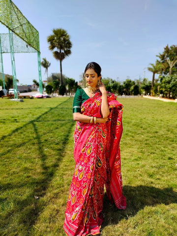 100% silk Mark certification 
ikkat patola sarees