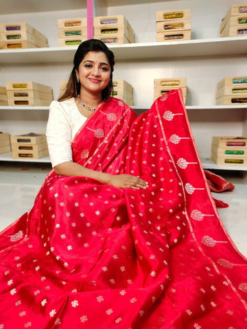 Raw mango Silk Saree