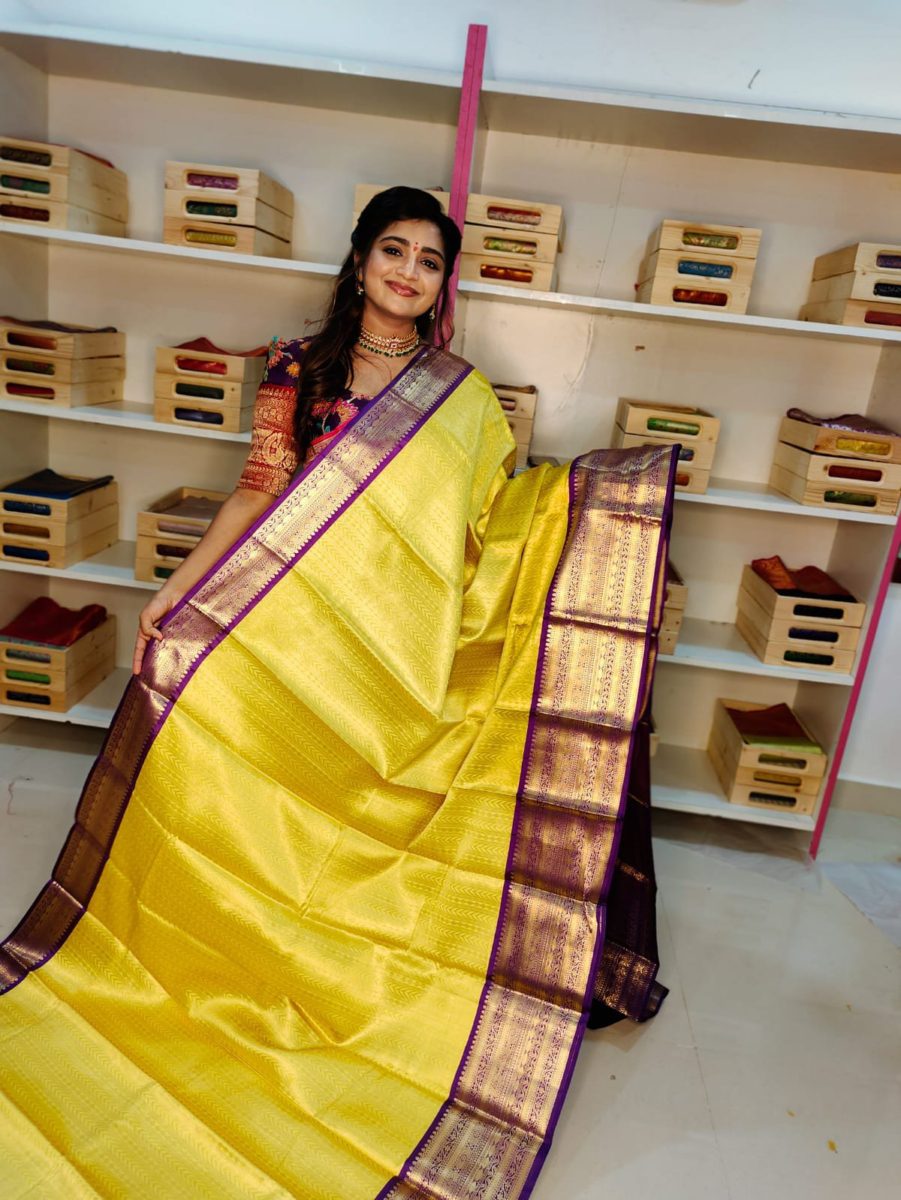 Soft banarasi Silk Saree