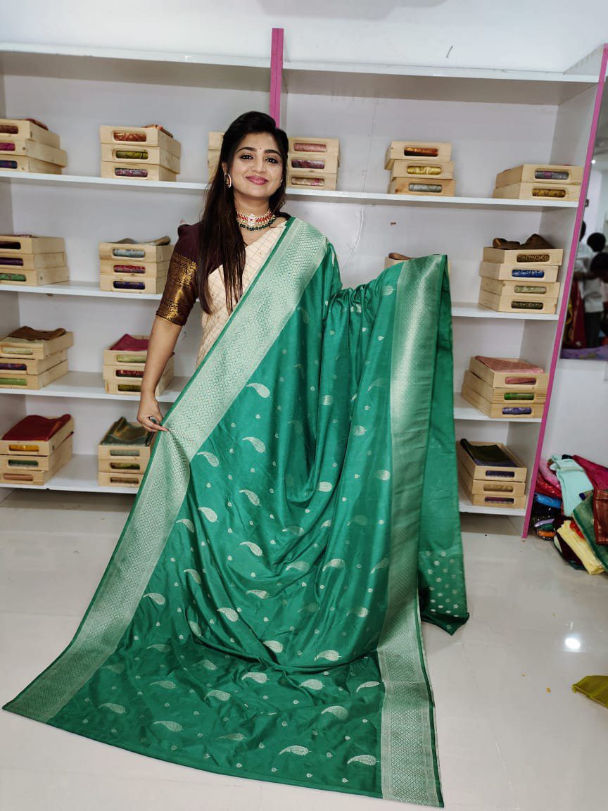 Clearance Sale banarasi Silk Saree