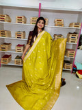 Clearance Sale banarasi Silk Saree