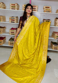 Clearance Sale banarasi Silk Saree