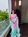 TS1650 పరిచయం