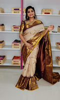 PM3500 లైట్