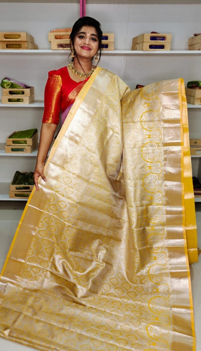 80% offer kanchi pattu collection