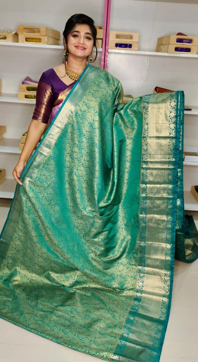 80% offer kanchi pattu collection