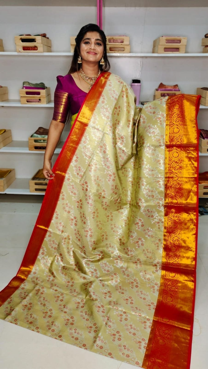 80% Kanchi Pattu collection