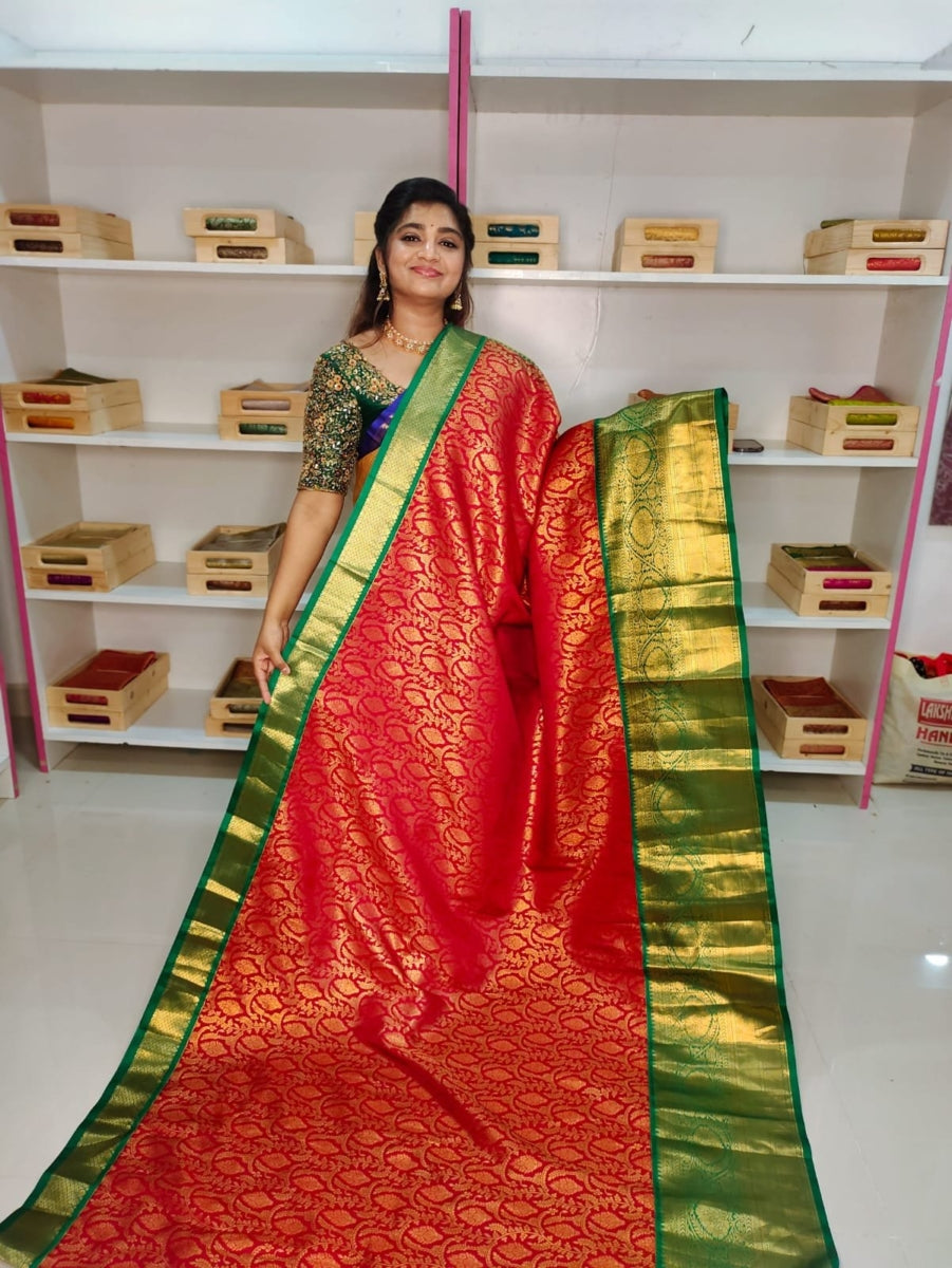 80% Kanchi Pattu collection