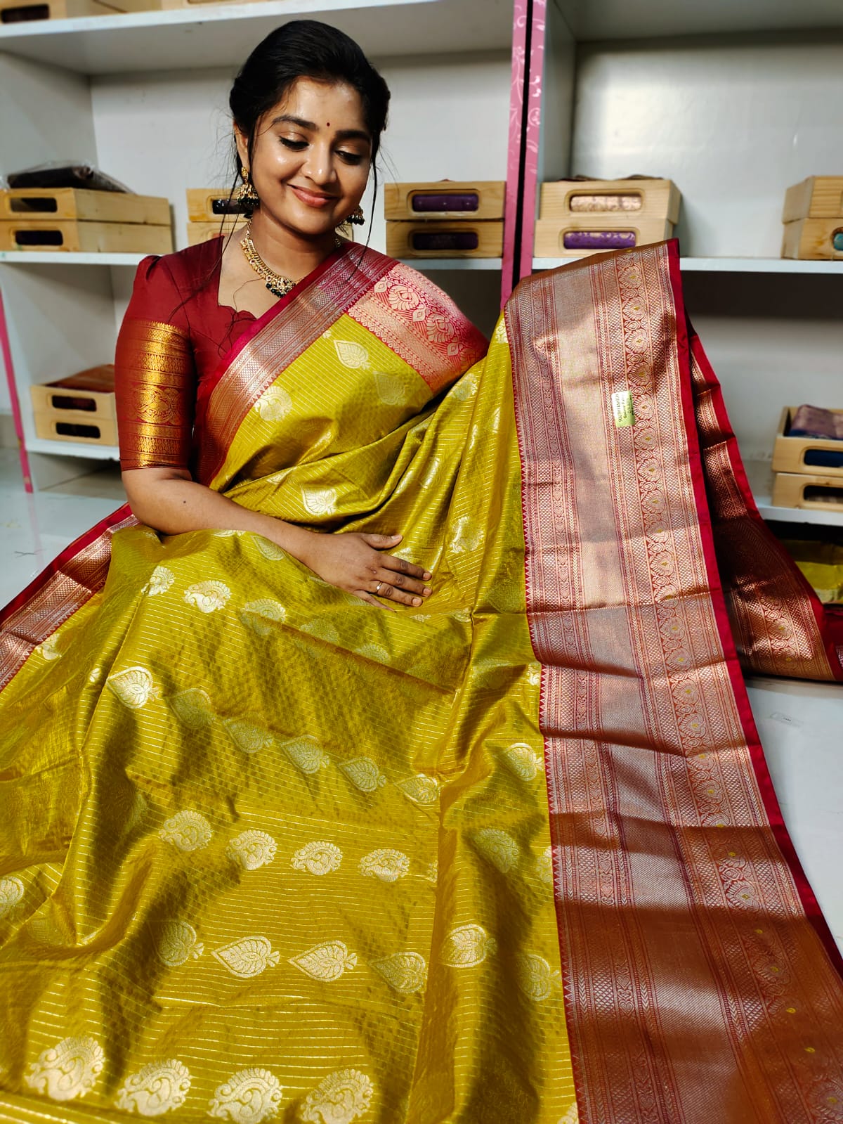 NP1450 పరిచయం