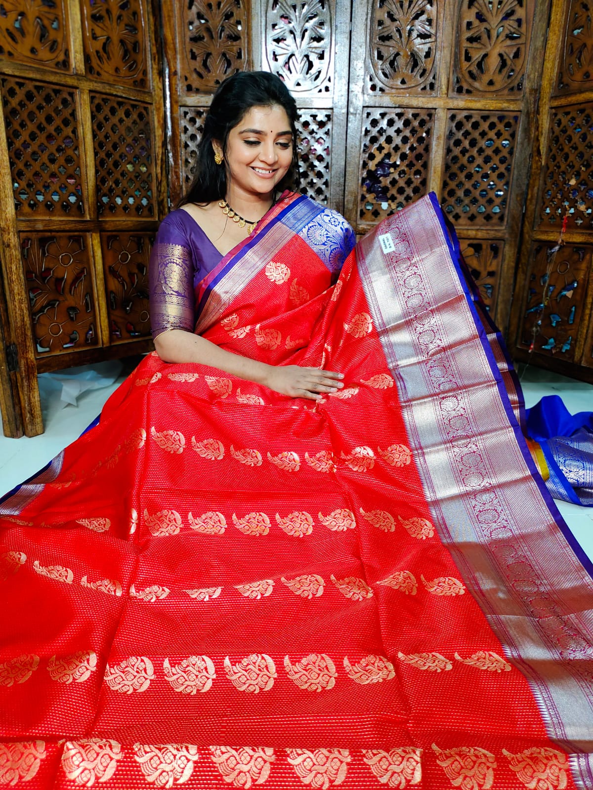 ఎన్‌పి1100
