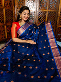 పివి1450