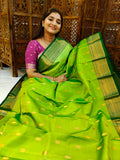 Pure kanchi pattu