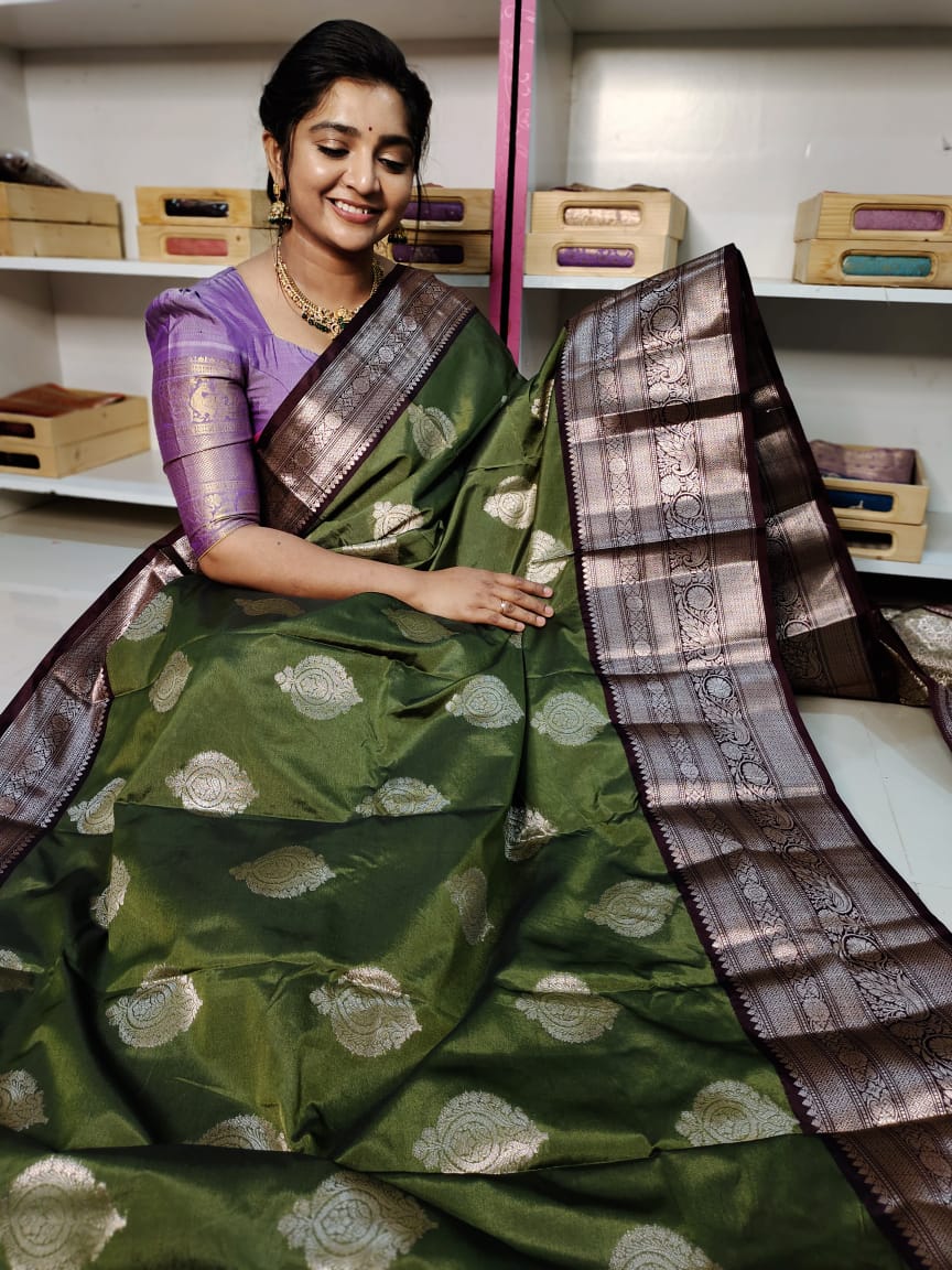 BS1550 గురించి