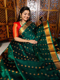 పివి1450