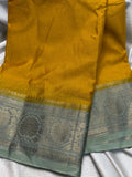 WS1299