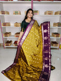 Soft banarasi silk