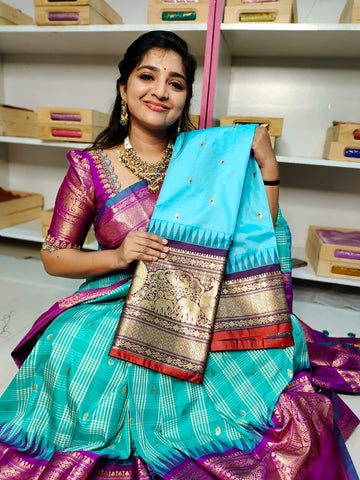 పిఎం2500
