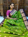 Pure kanchi pattu