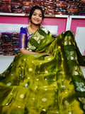 Tishu jamdhani silk