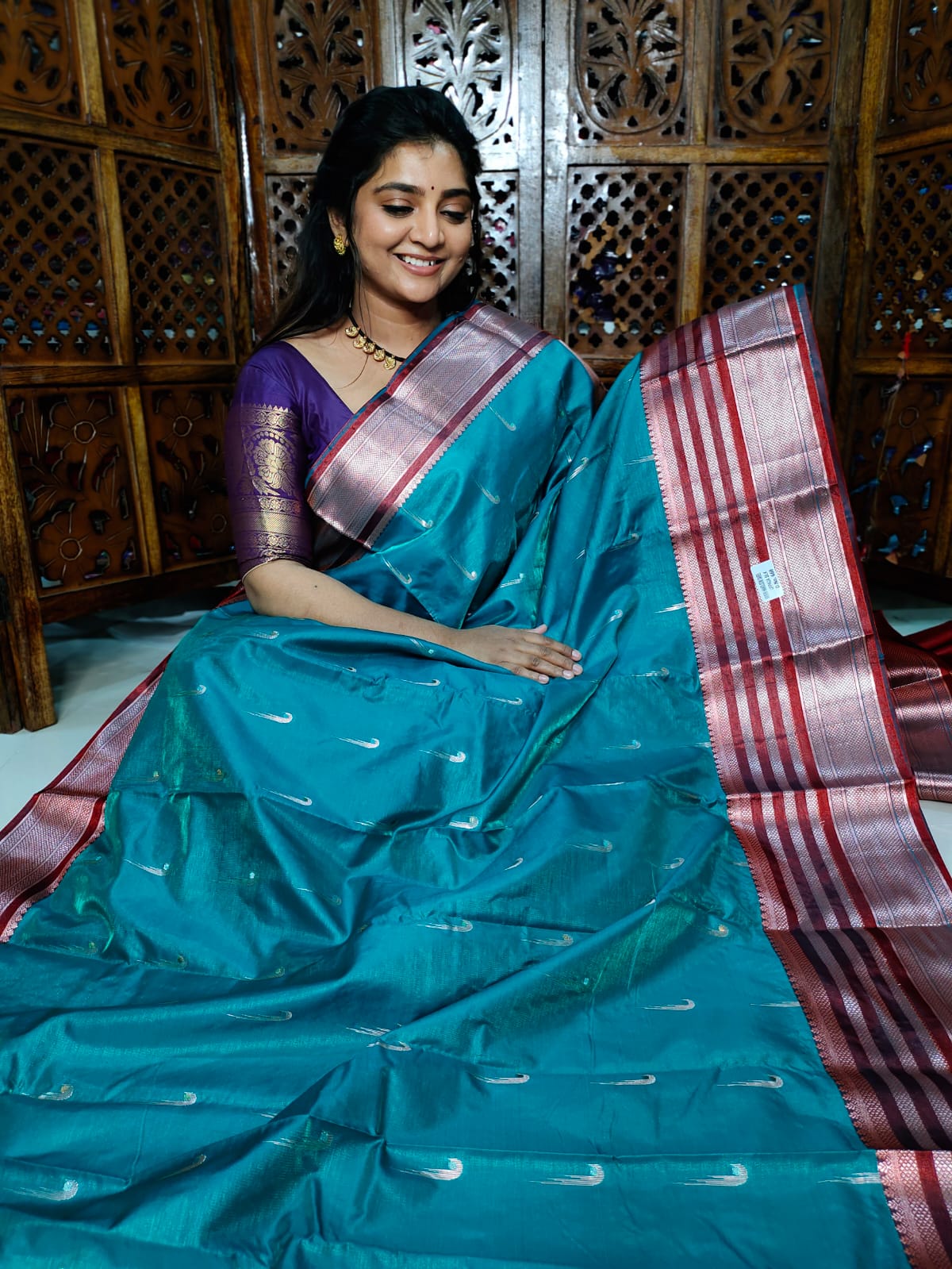 ఎన్‌పి1100