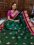 Kanchi pattu
