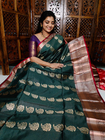 ఎన్‌పి1100