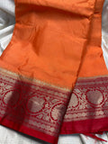 WS1299