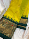 Gadwal cleance sale