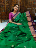 Pure kanchi pattu