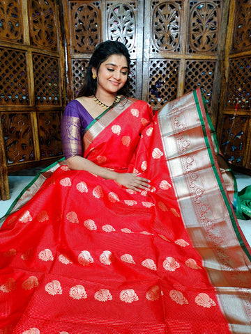 ఎన్‌పి1100