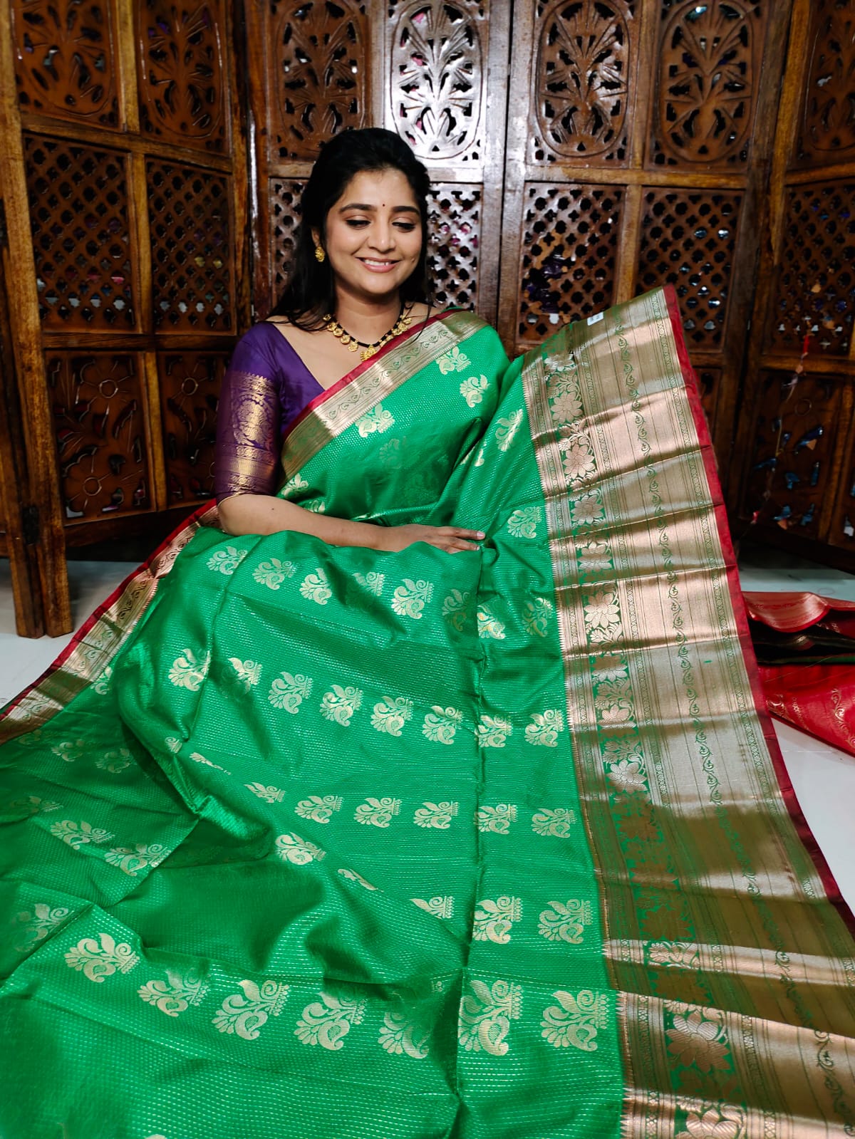 ఎన్‌పి1100