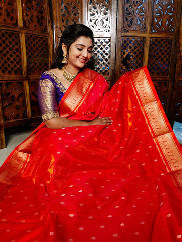 పివి1450