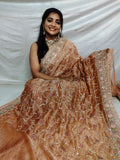 Cocktail fancy saree