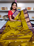 Pure handloom silk mark vintage kanchi pattu sarees