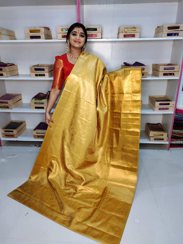 Kanchi pattu collection