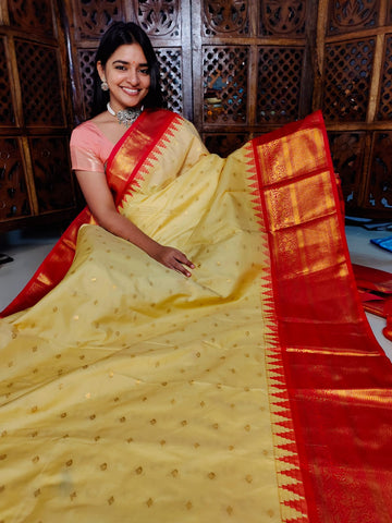 గద్వాల్ క్లియరెన్స్ సేల్