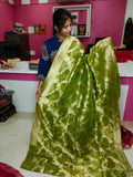 Tishu banarasi silk