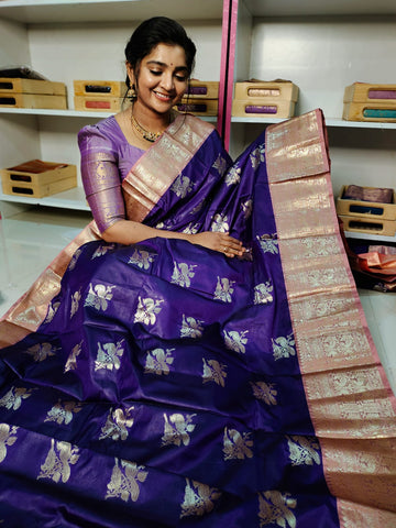 BS1550 గురించి