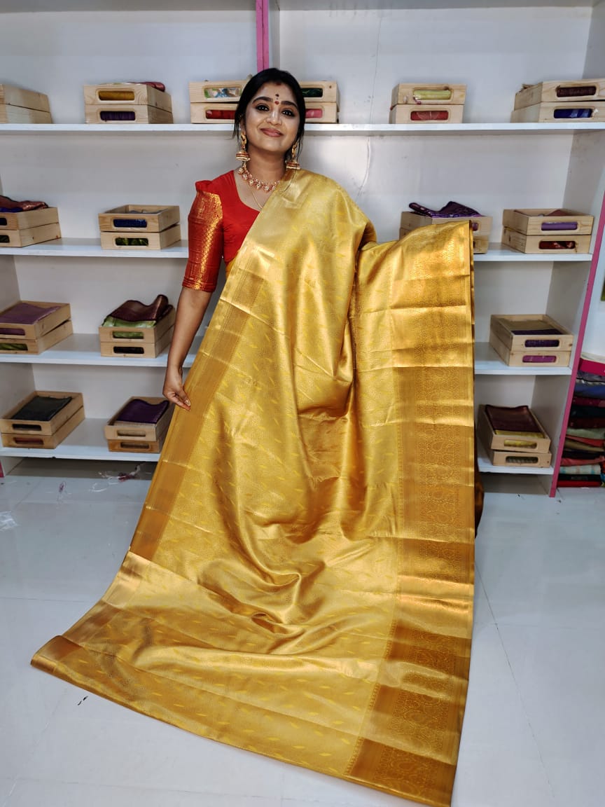 Kanchi pattu collection