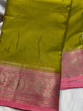 WS1299