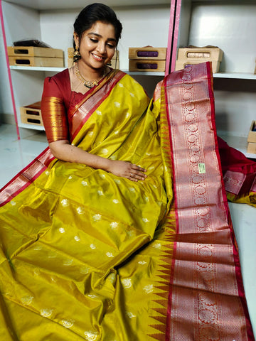 NP1450 పరిచయం