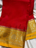 WS1299