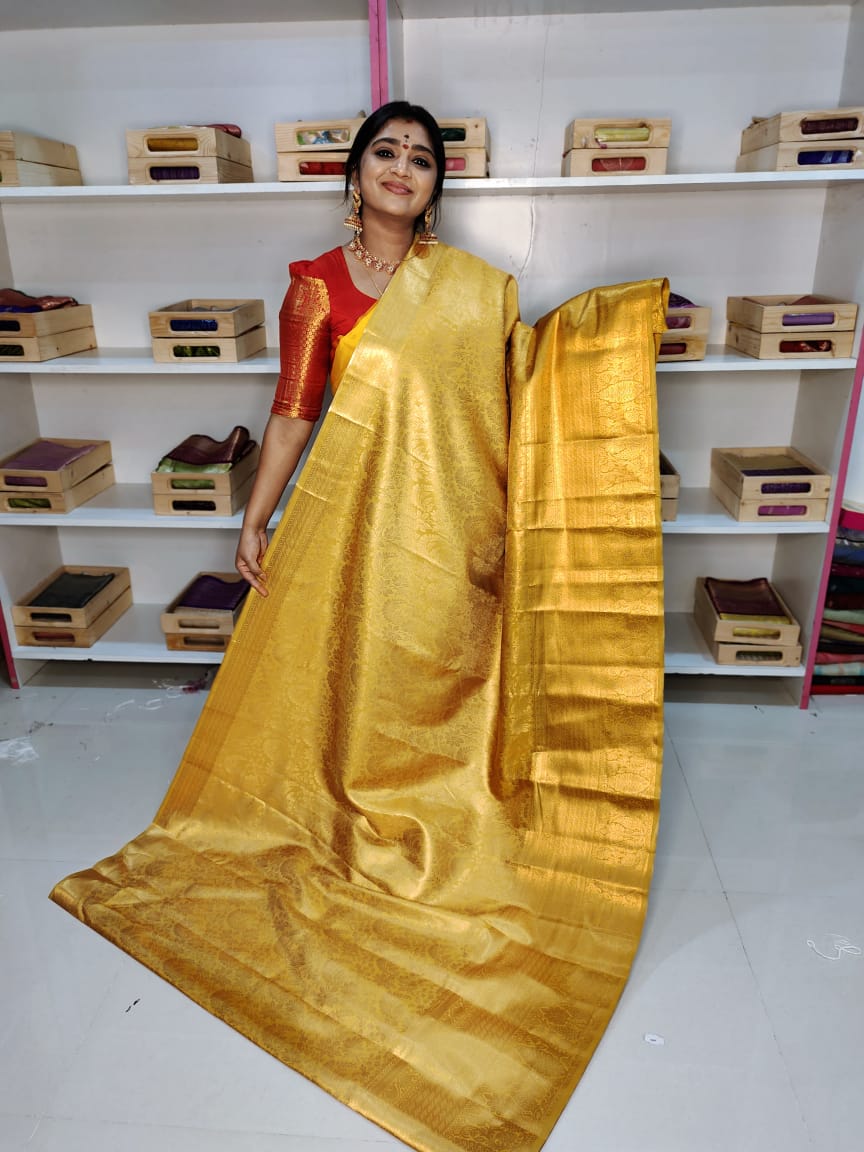 Kanchi pattu collection