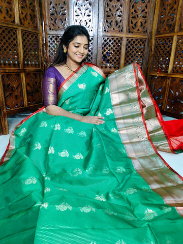 ఎన్‌పి1100